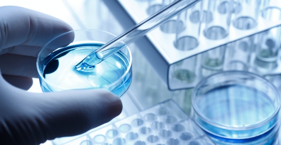 乾癬の概要・病態