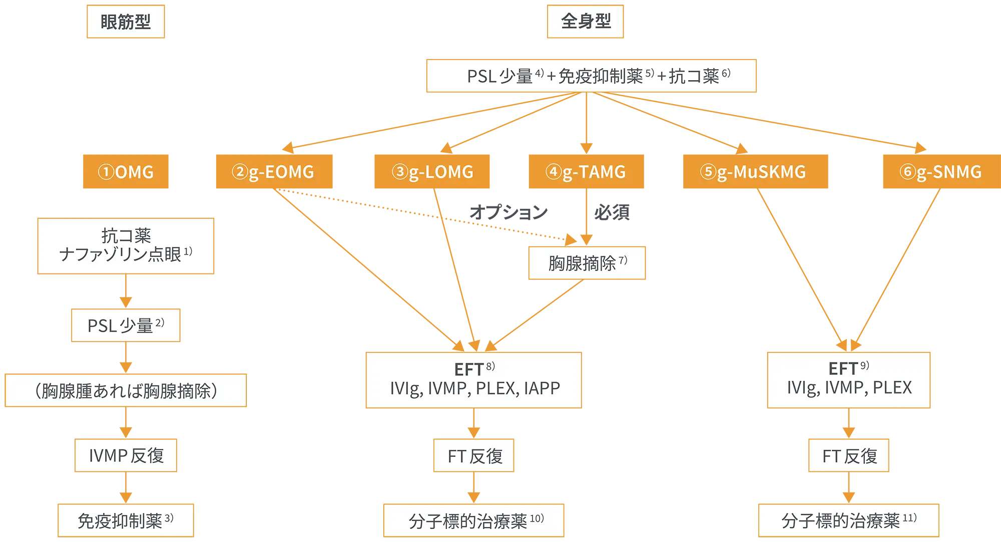 病型ごとの治療アルゴリズムの概要
