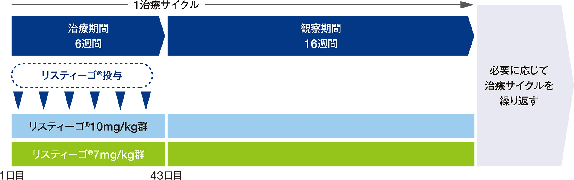国際共同第Ⅲ相長期継続投与試験（MG0007試験）の投与方法