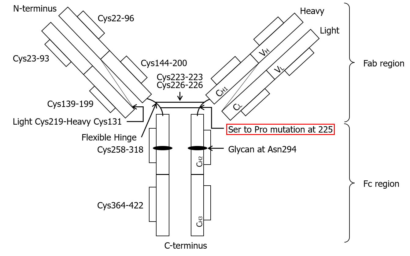 ロザノリキシズマブの構造