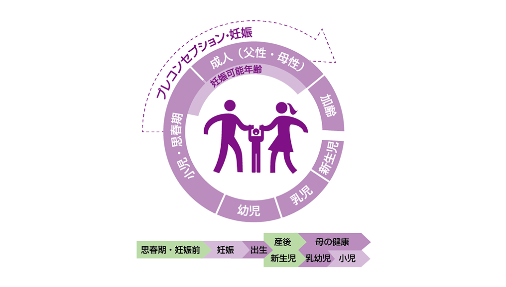 リプロダクションサイクルのなかのプレコンセプションケアの位置づけ